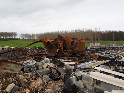 photo de la sculpture Perroquet